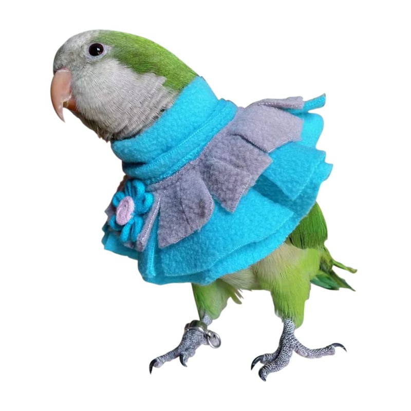 Parrot Neck Collar Pet Anti-bite Picking Feather Healing Protective Neck Cover Collar for Birds (4XL) 4XL