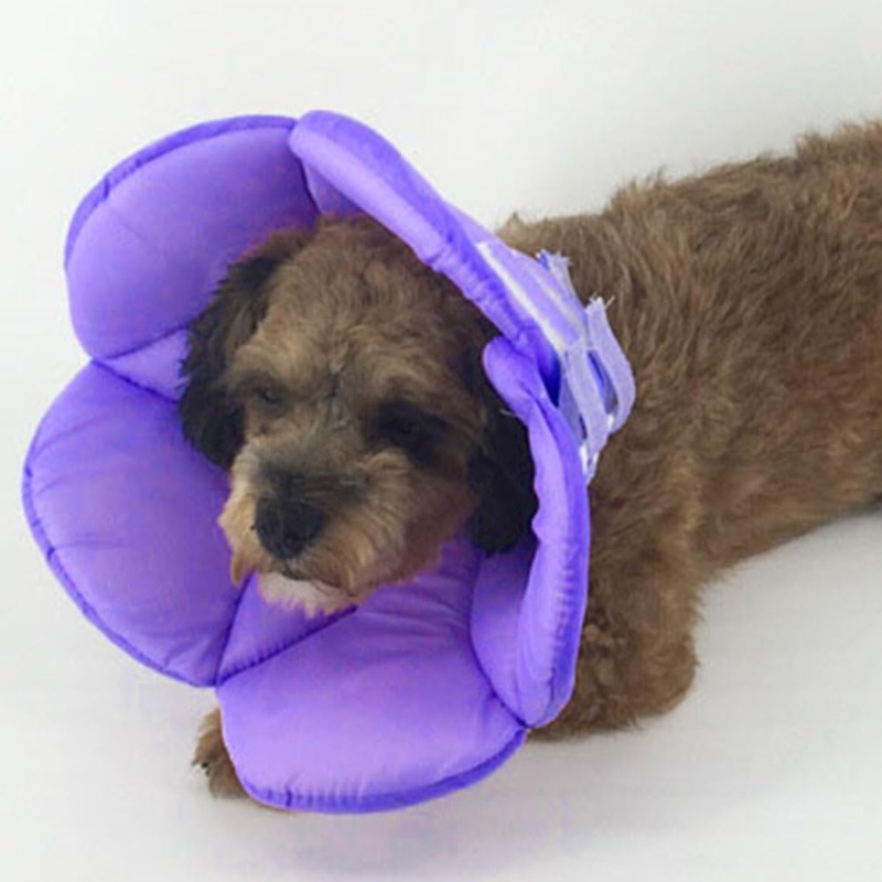 POPETPOP Small Dog Recovery Collar – Cute Cat Flower Neck Cone After Surgery, Adjustable Pet Collar, Surgery Recovery Elizabethan Collars for Small Pets (Purple, M) Medium Purple