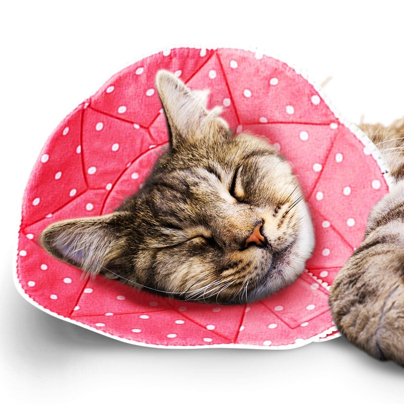 SunGrow Cat Cone Collar Soft Washable, Cat Recovery E Collar Sleep Cone After Surgery to Stop Licking, Pet Cone of Shame Alternatives, Scratch & Bite Proof Grooming Soft Cone for Easy Nail Cutting Pink Polka (S, 7.5-9″ Neck)