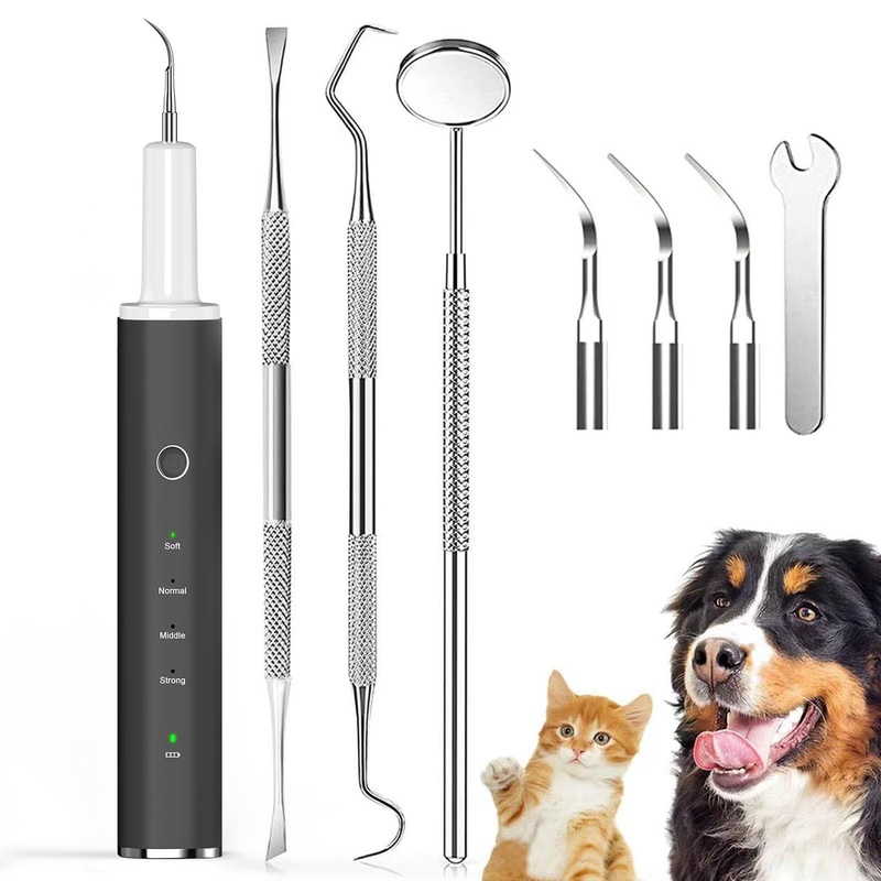 Teeth Cleaning Kit for Dogs with LED Light Plaque Remover for Teeth Pet Toothbrush Cleaner for Tartar and Stains(Black)