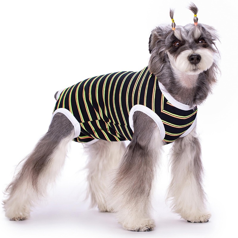 Dog Recovery Suit After Surgery,Dog Surgery Recovery Suit for Abdominal Wounds,Dog Recovery Onesie,Neuter for Male/Female Dogs Anti-Licking Substitute Elizabethan(DRS01-Black-M) M Black