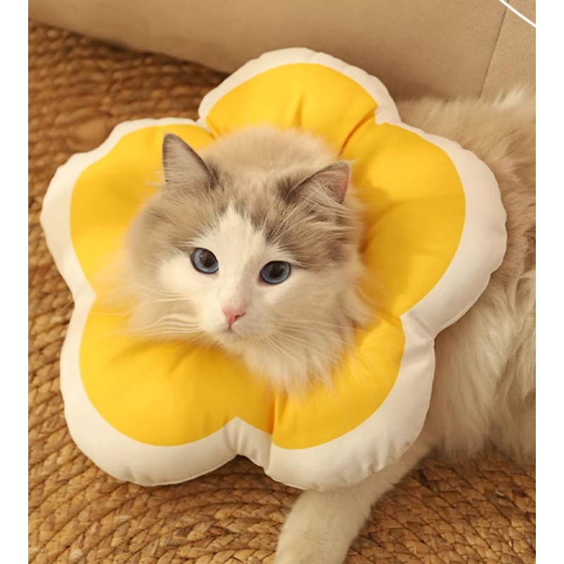 Cute Cat Cone Soft Collar to Stop Licking, Flower Shape Recovery Collar for Dog, Neck Pillow After Surgery for Kittens, Anti-Bite Lick Wound Healing Safety Elizabethan e Collar for Cats (Yellow, S) Yellow