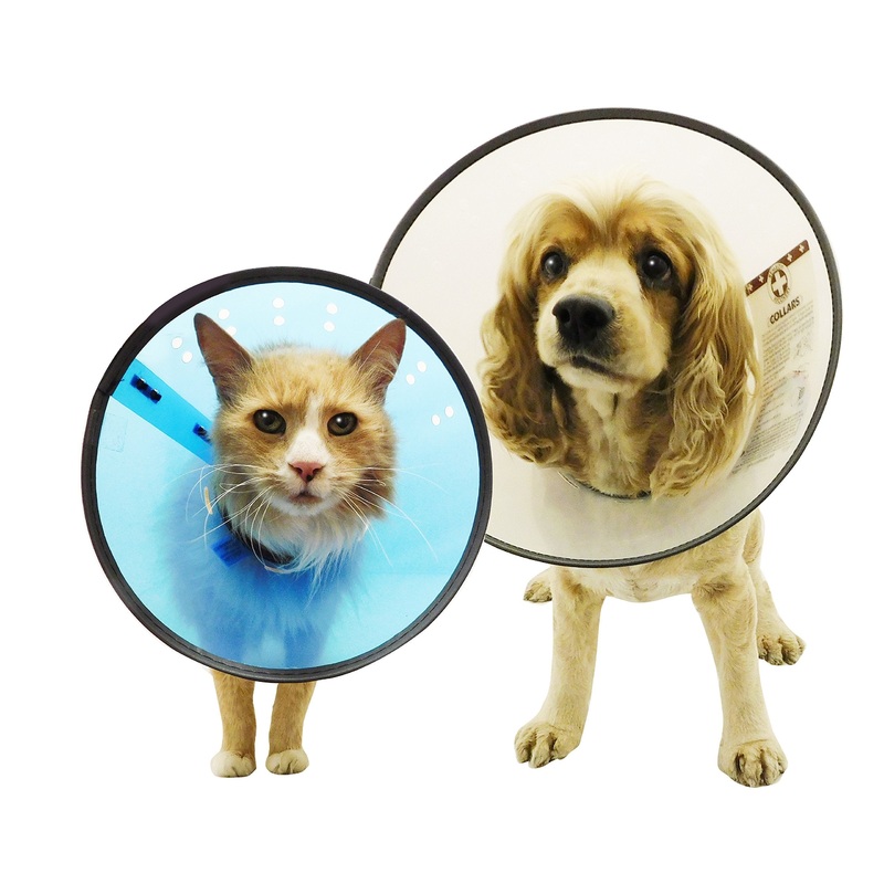 DOGSWELL Remedy and Recovery E-Collar, Small, Colors Vary, Assorted (Packaging May Vary)