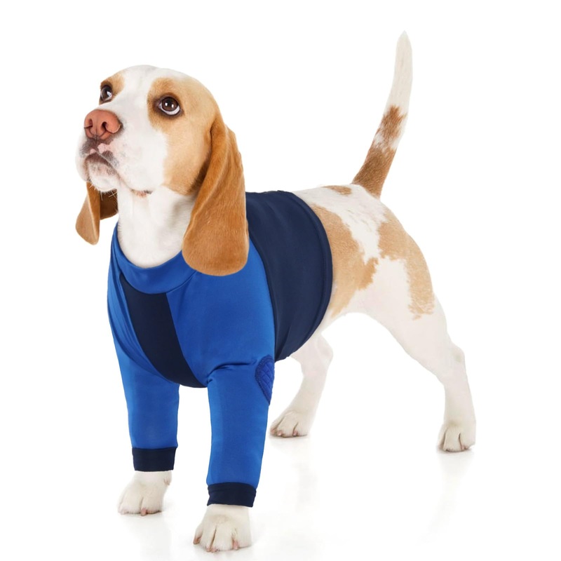 Lelepet Dog Recovery Suit for Front Legs,Dog Leg Sleeve to Stop Licking,Dog Elbow Protector for Leg Injuries,Dog Recovery Sleeve for Wounds,Dog Sleeve to Prevent Licking,Dog Cone Collar Alternative 2XL Blue