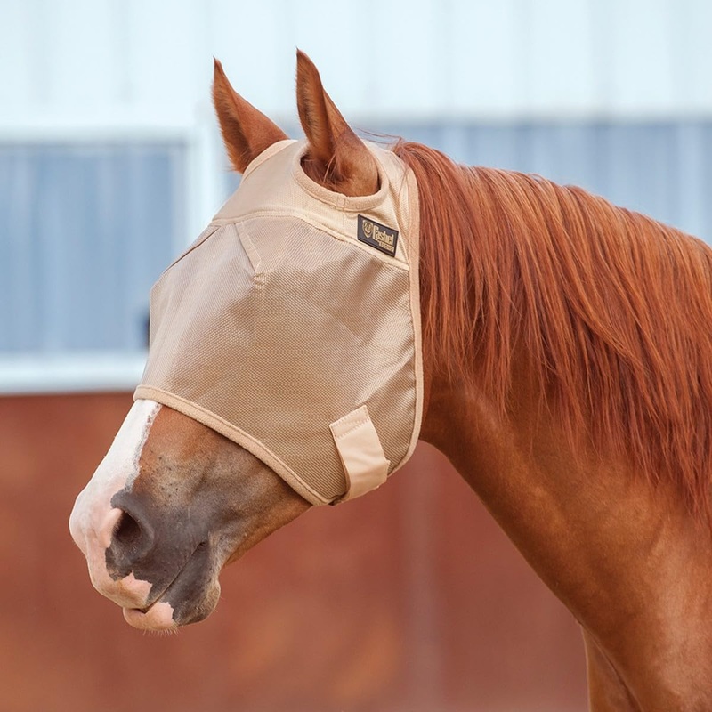 Cashel Econo Fly Mask, Gold, Yearling
