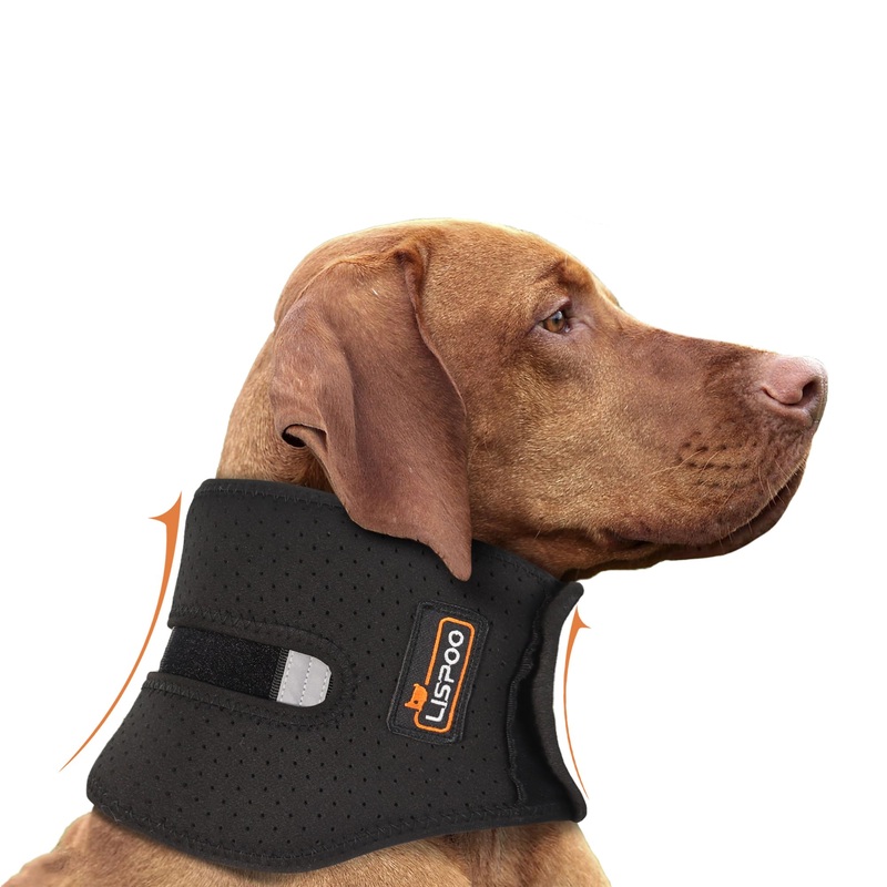 Dog Cervical Collar Neck Brace Supports Cervical Vertebral Sprains Instability, Neck Brace for Dog Limit The Range of Movement up and Down, Dog Cervical Brace Helps Recover from Cervical Sprains XL SBR XL(Neck Girth20″-24″/Neck Length5″)