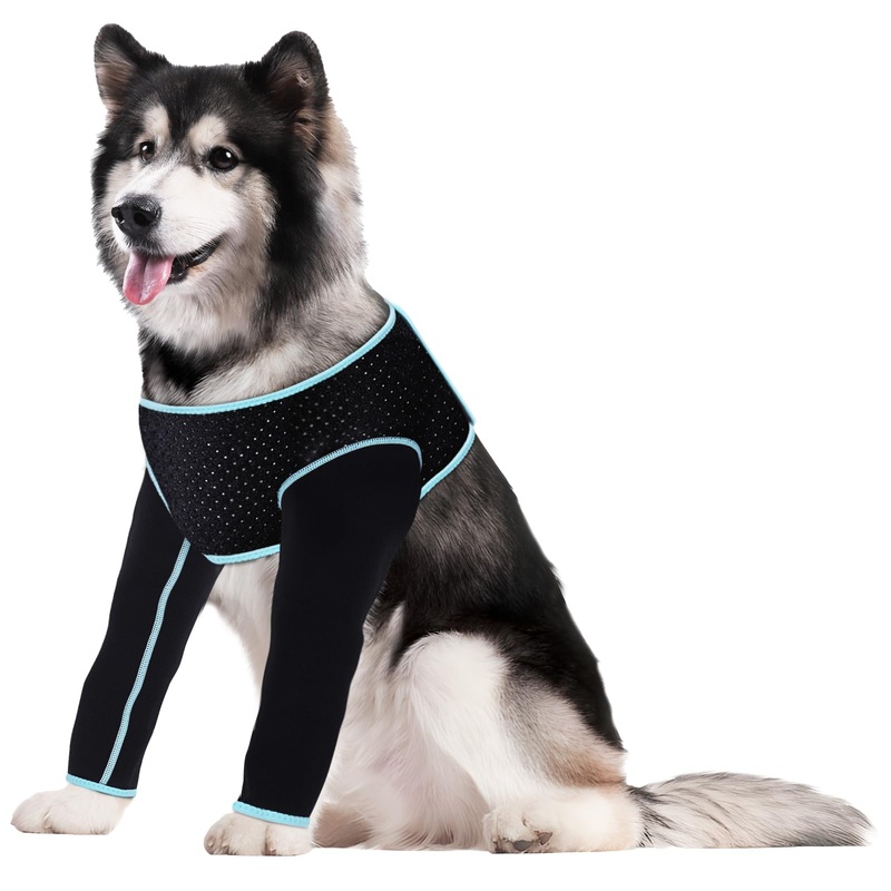 Recovery Sleeve for Dogs, Both Front Legs Protection After Surgery, Dog Leg Sleeve to Stop Licking, Bite and Keep Dry, Waterproof Abrasion Resistant Dog Recovery Sleeve (XXL)