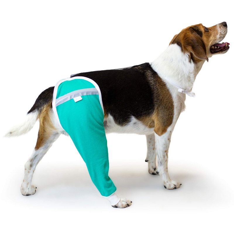 Hip and Thigh Wound Protective Sleeve for Dogs. Dog Recovery Sleeve. Recommended by Vets Worldwide (Large, Teal Green) Large