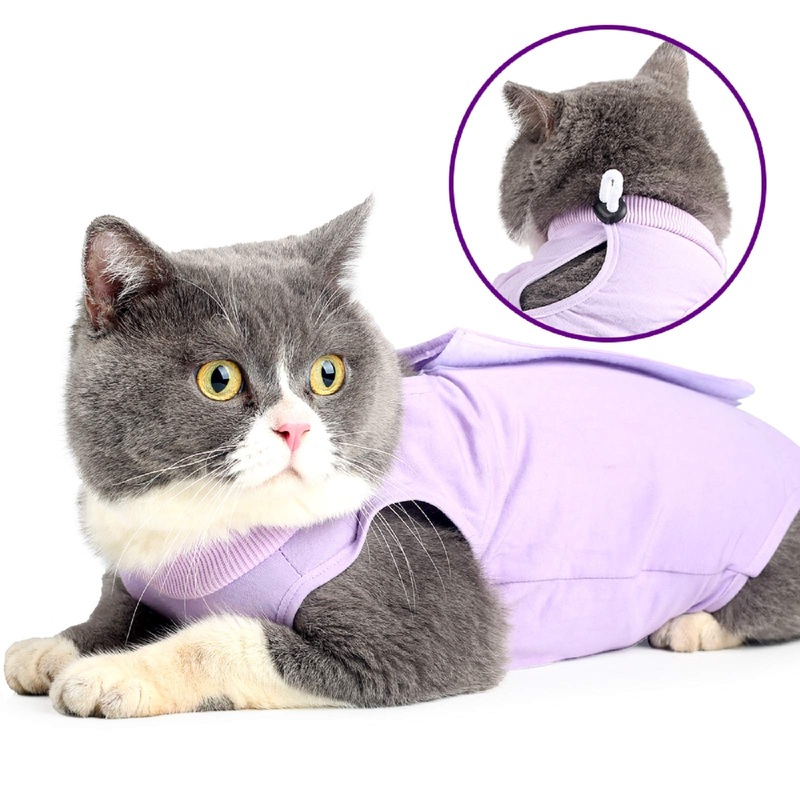 LIANZIMAU Cat Surgery Recovery Suit for Surgical Abdominal Wounds Home Indoor Pet Clothing E-Collar Alternative for Cats After Surgery Pajama Suit Large (Pack of 1) Purple