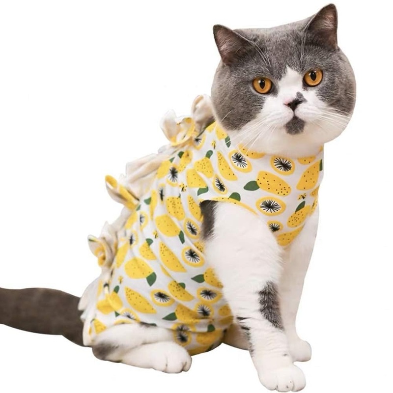 Recovery Suit for Cats Cotton Breathable E-Collar Alternative for Cats and Dogs, After Surgey Wear (L, Lemon)