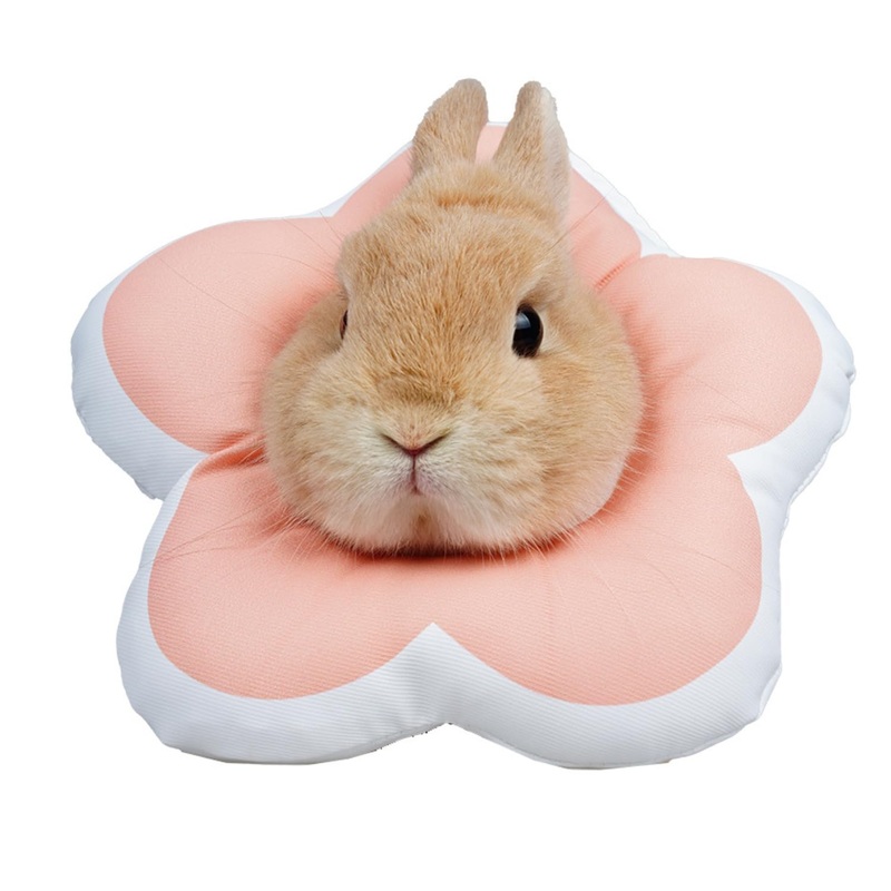 Adjustable Rabbit Protection Cone Collar – Soft Waterproof Recovery Collar for Bunny Chinchilla Guinea Pig Kitten After Surgery Wound Healing Elizabeth Neck Cone E-Collar for Small Pets (Pink, S) Pink