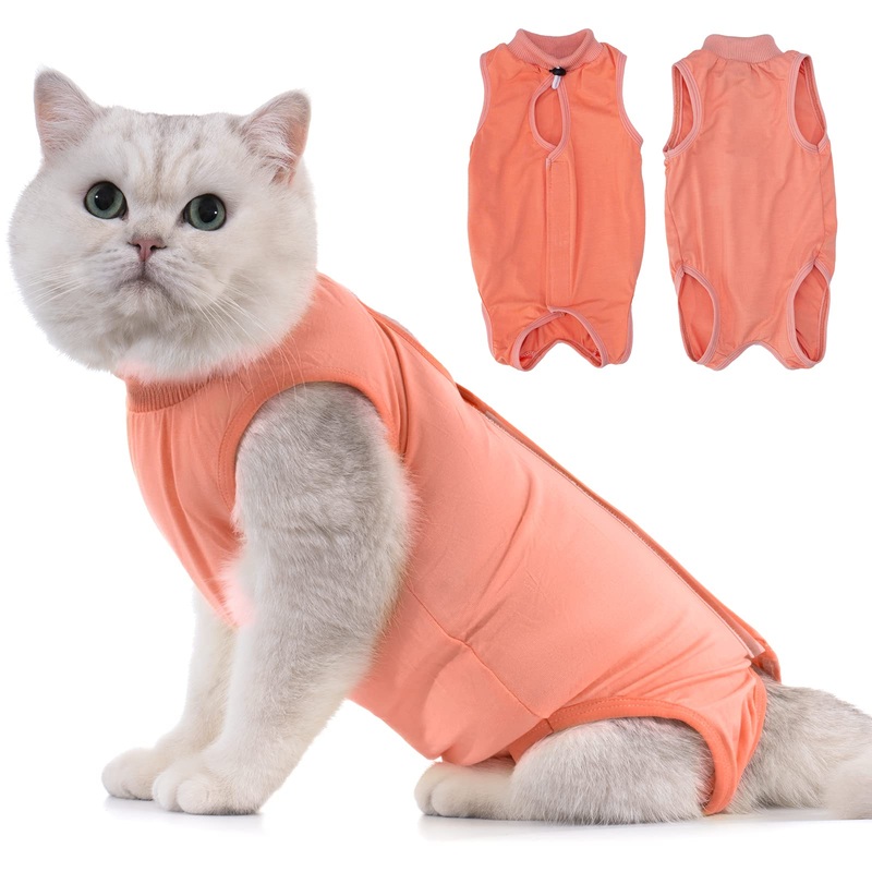 Avont Cat Recovery Suit – Kitten Onesie for Cats After Surgery, Cone of Shame Alternative Surgical Spay Suit for Female Cat, Post-Surgery or Skin Diseases Protection -Coral(M) Coral Medium
