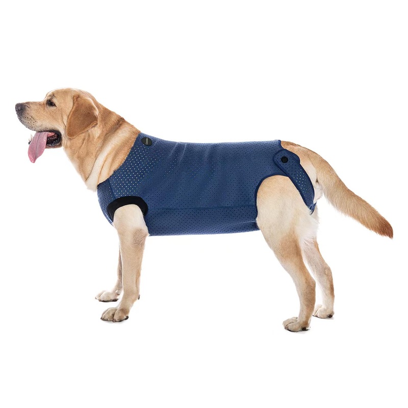 COODEO Dog Surgery Recovery Suit, Waterproof Recovery Suit for Dogs, Surgery Suit for Wounds Protect, Cone Alternative After Surgery, Dog Onesie for Surgery Female or Male (Blue, 2XL) Blue