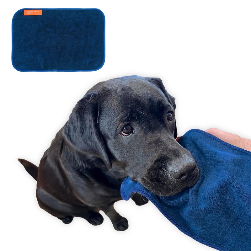 Pet Towel for Drying Dogs Face and Mouth  Ultra-Soft Microfiber, Super Absorbent, Quick Dry and Machine Washable, Must Have for Pets Drool, Spill, Dirt, Eye  Hand Size, Blue, 7.8×12.5in