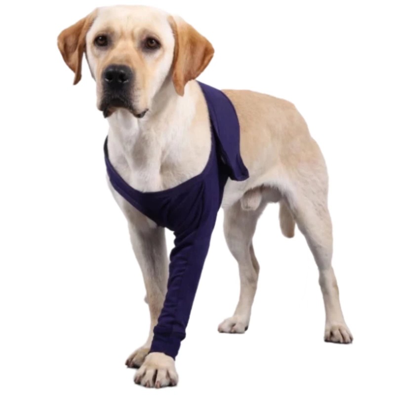 Xqpetlihai Dog Sleeves for Licking Dog Knee Brace After Surgery Wear for Dogs Abrasion Resistant Dog Recovery Sleeve for Dogs Cone Collar Alternative(XXXL) XXXL Blue
