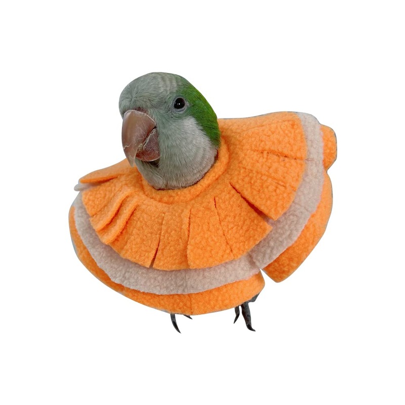 Adjustable Parrot Cone Collar, Safe and Practical Cotton Collar to Prevent Bites and Licking Wounds, to Help heal (5XL) 5XL