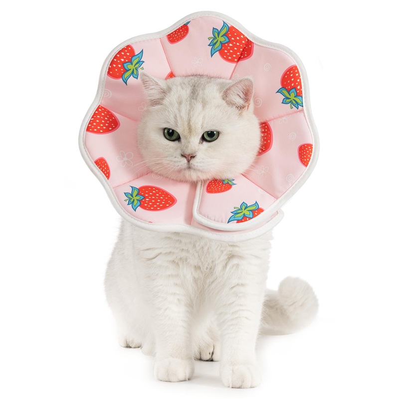 Avont Soft Cat Recovery Cone Collar, Adjustable Lightweight Kitten E-Collar for Small Dogs, Comfortable Neck Donut Stop Licking Scratching After Surgery -Strawberry(S) Strawberry