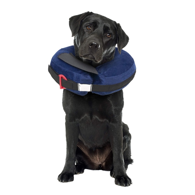Protective Inflatable Collar Large w/Dog Calming Disc