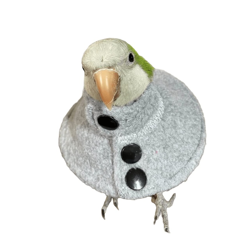 Adjustable Recovery Bird Cone Collar, Elizabeth Protective Collar, Safe and Practical Neck Sleeve for Preventing Bite and Licking Wound Healing with Snap Fastener Random Color (Large) Large