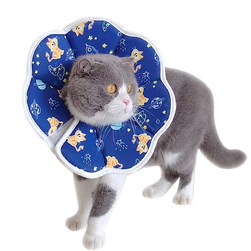 BAMY Cat Recovery Collars Waterproof Pet Cone Stop Licking After Surgery Kitten Elizabethan Collar for Cats Small Dogs (Blue, XS (Neck Circumference 4.3″-5.5″)) Blue XS (Neck circumference 4.3″-5.5″)