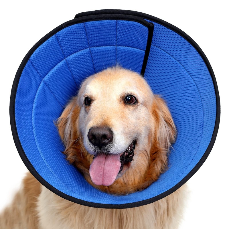 Dog Cone for Small, Medium, and Large Dogs and Cats, Soft Cone for Dogs After Surgery, Lightweight Leathaire Recovery Cone Collar to Stop Licking and Scratching(4(Neck: 9.25-10.75″)) 4(Neck: 9.25-10.75″) Black
