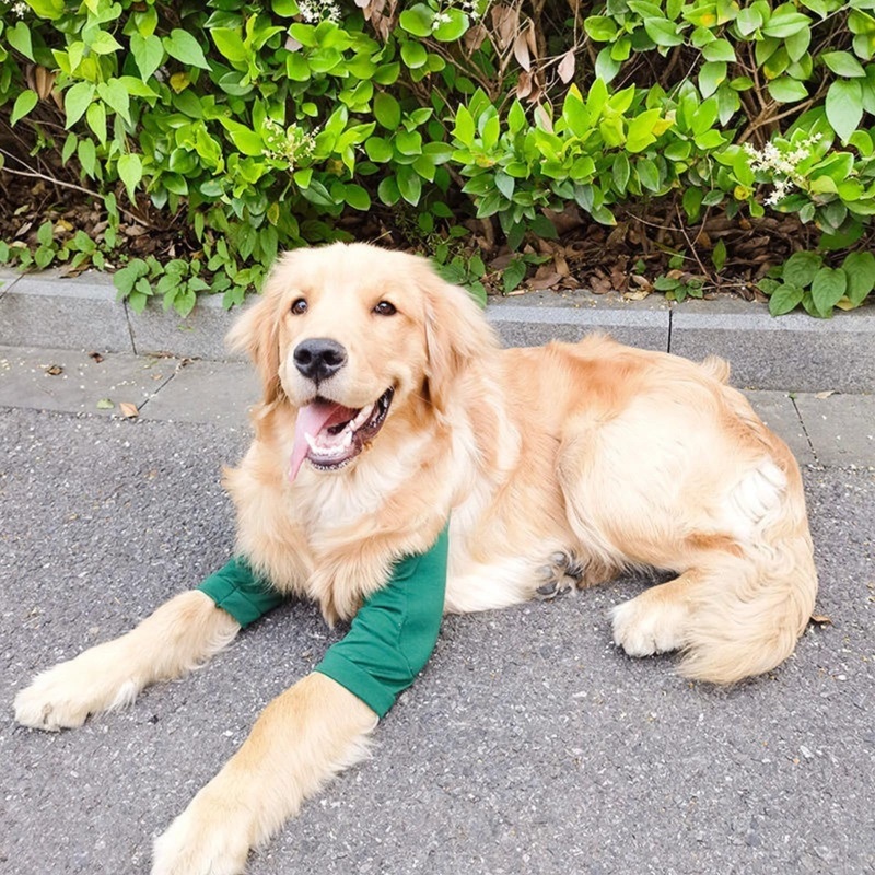 Dog Recovery Suit Front Legs,Dog Recovery Sleeve,Dog Recovery Sleeve After Surgery for Female Male,Soft Dog Joint Leg Sleeves After Surgery,Dog Cone Alternative to Stop Licking Leg Wounds,Green,L L(Sleeve Length:9″) Green