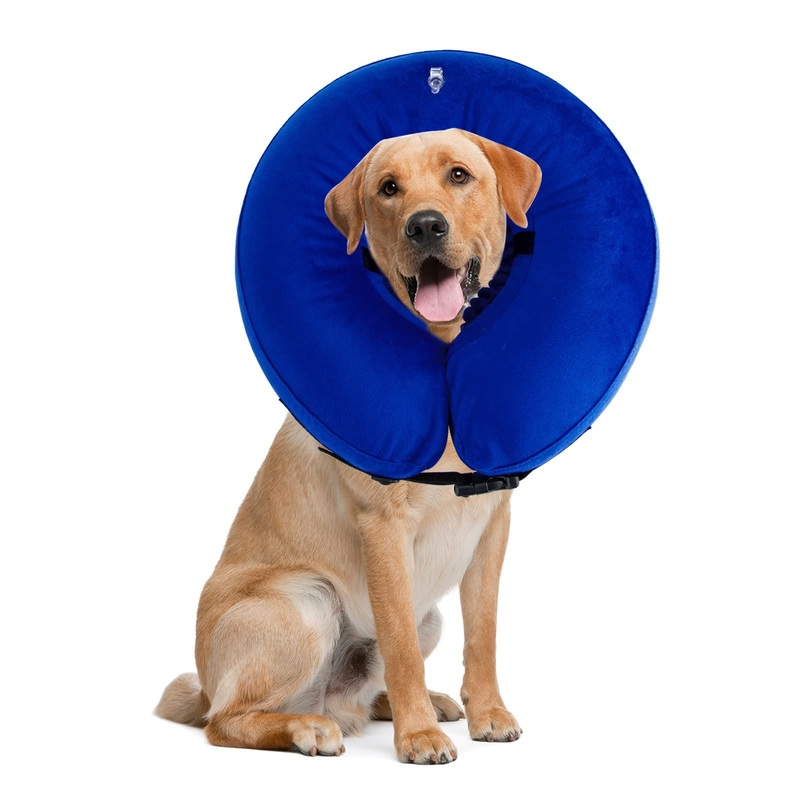 Protective Inflatable Dog Cone for Small Medium Large Dogs and Pets – Adjustable Soft Recovery Neck E-Collar After Surgery to Prevent Biting and Scratching, Alternative Donut Elizabethan Collar (L) L(Neck 15″-19″)