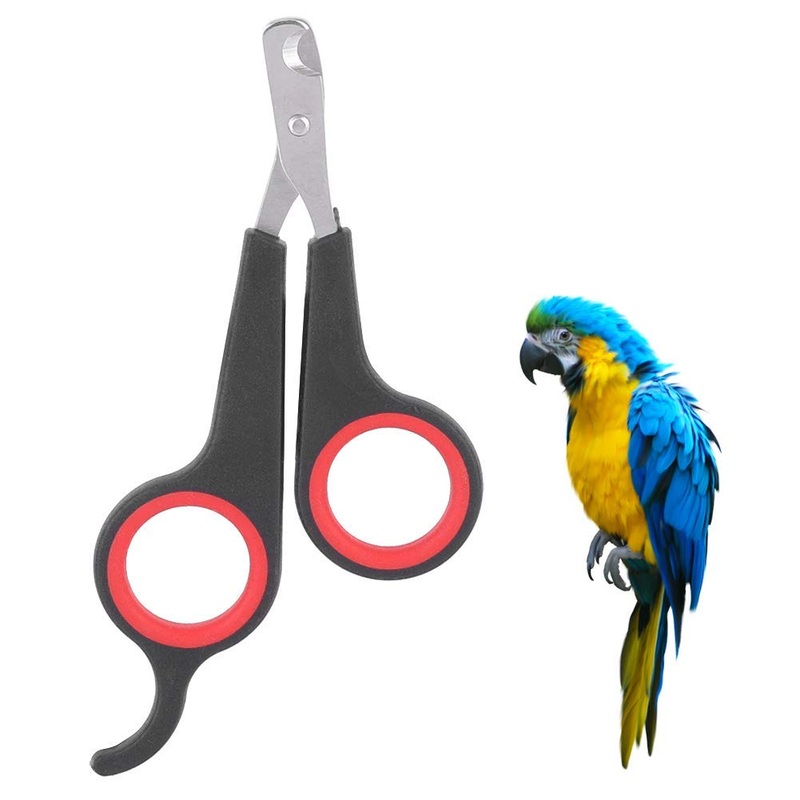 Yosoo Solid Stainless Steel Bird Nail Clipper, Wing Clippers Pet Bird Small Animals Bird Cage Essential Accessories Grooming Tool Nail Scissors Clipper Bird Grooming Black and Red