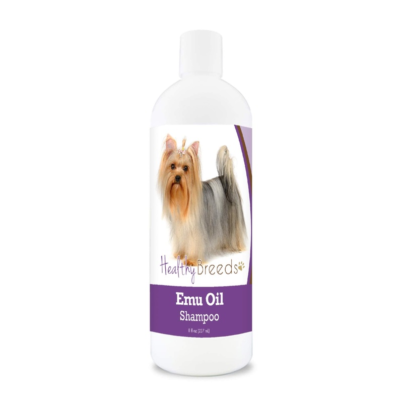 Healthy Breeds Yorkshire Terrier Emu Oil Shampoo 8 oz