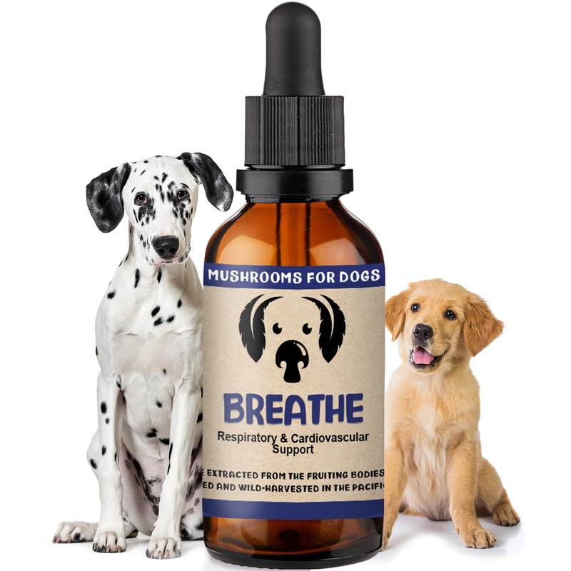 MycoDog Breathe Mushroom Extract & Adaptogen Tincture for Canines – Mushroom & Ashwagandha Supplements for Dogs with Breathing Challenges – Reishi Mushroom, Chaga, Cordyceps Mushroom & Artist Conk