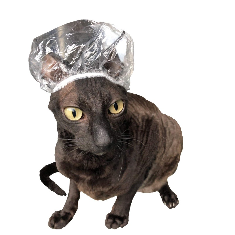 Shower Caps for Sphynx Cats and Small Pets 20pcs Transparent