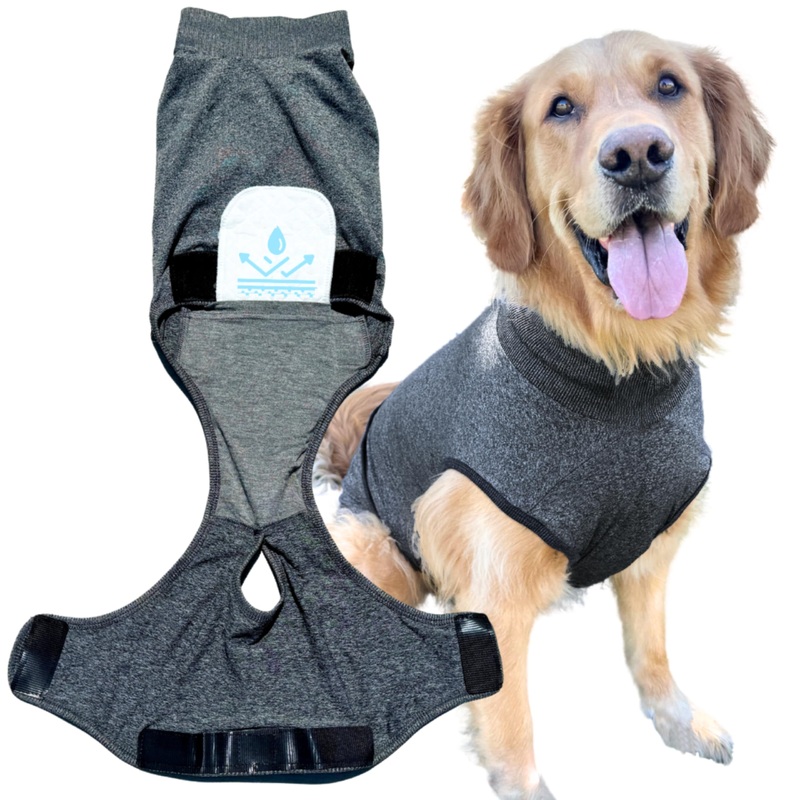 Dog Recovery Suit After Surgery  Body Suit for Female Spay & Male Neuter with Washable Pads, Post-Surgery Onesie for Dogs, Large (Grey)