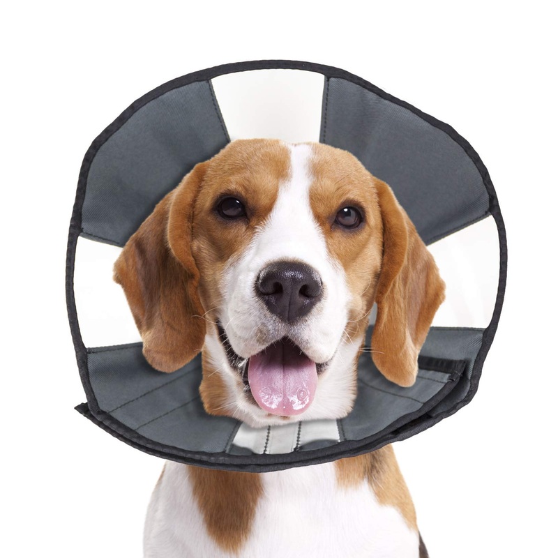 ZenPet Pet Recovery Cone E-Collar for Dogs and Cats – Always Use with Your Pet’s Everyday Collar – Comfortable Soft Collar is Adjustable for a Secure and Custom Fit (Medium) Medium gray