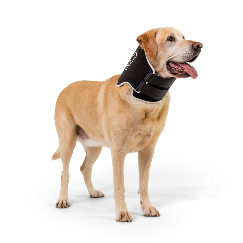 Balto Neck Eco E-Collar Alternative  Dog Recovery Collar  Padded Dog Cone – Pre/Post Surgery Helps Protect Wounds and Rashes- Body Only Protection (Medium) Medium