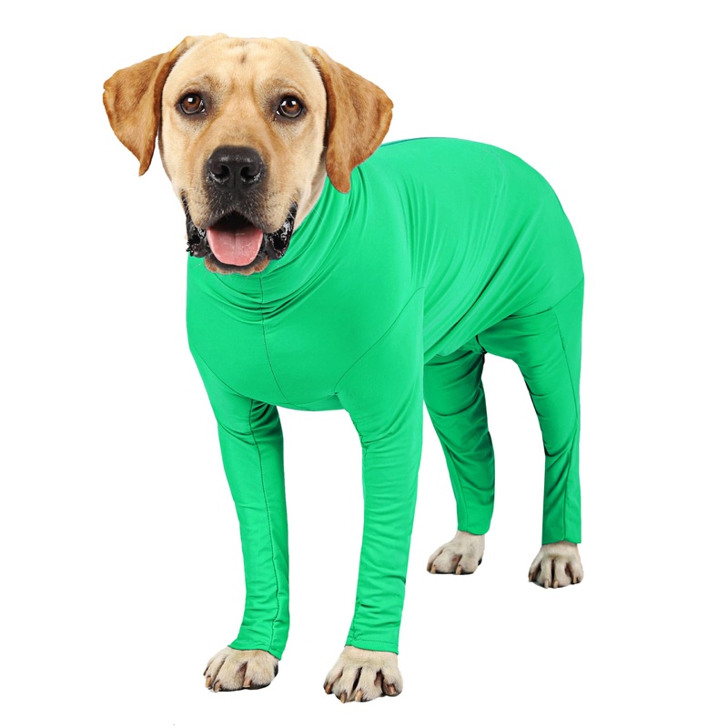 Dog Onesie Surgery Recovery Suit for Female Male Dog Surgical Bodysuit After Surgery Wear for Small Medium Large Dog Shedding Suit Anxiety Calming Shirt Green/XXL XX-Large