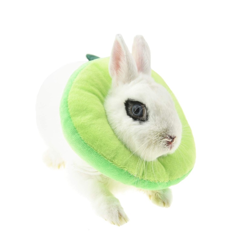 FLAdorepet Rabbit Protection Cone for After Surgery, Elizabeth Neck Recovery Collar for Small Animals,Bunny Toast Avocado Costume (Small (Pack of 1), Avocado) Small (Pack of 1)