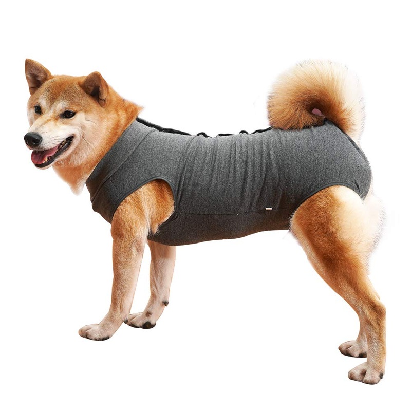 HEYWEAN Dog Surgery Recovery Suit for Abdominal Wound, E-Collar Cone Alternative After Surgery Wear, Protect Wound from Grooming and Scratching, Dog Surgical Post-Operative Bodysuit XXX-Large Grey
