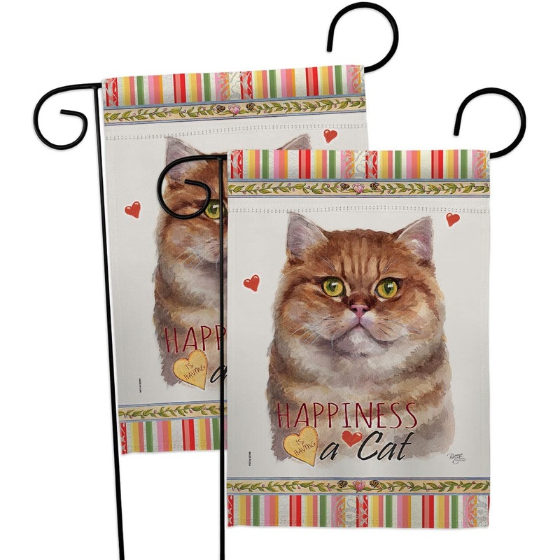 Breeze Decor British Short Hair Happiness Garden Flag 2pcs Pack Cat Kitten Meow Spoiled Paw Fur Pet Nature Farm Animal Creature House Banner Small Yard Gift Double-Sided, Made in USA
