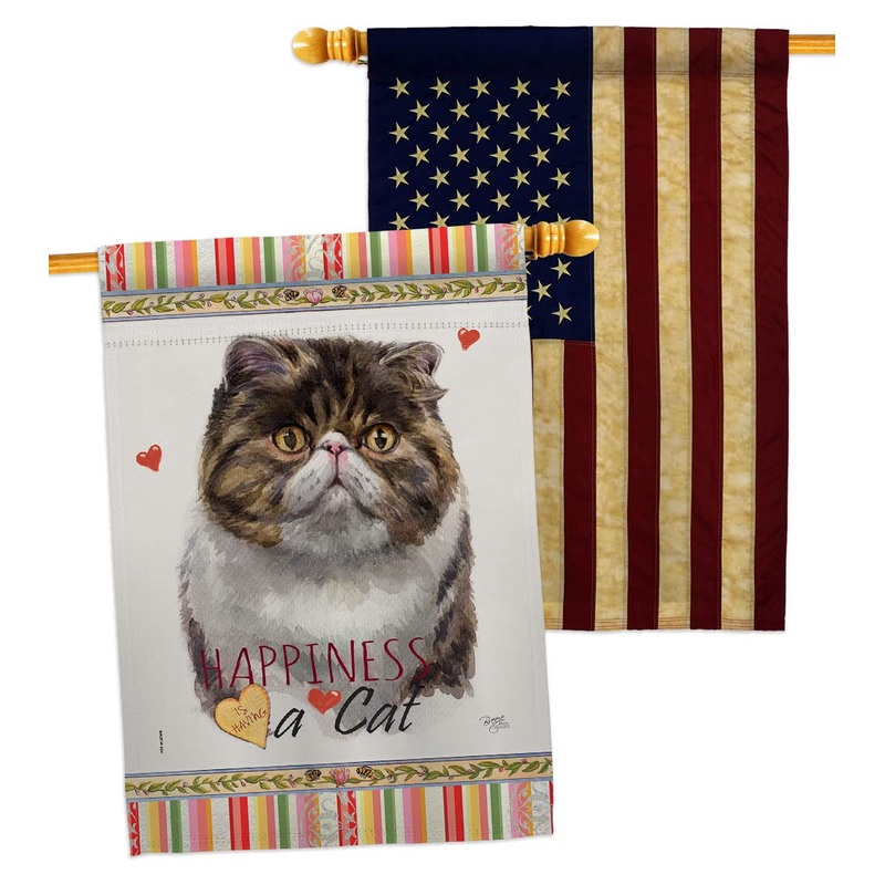 Breeze Decor Exotic Short Hair Happiness House Flag Pack Cat Kitten Meow Spoiled Paw Fur Pet Nature Farm Animal Creature Vintage Applique Banner Small Garden Yard Gift Double-Sided, Made in USA