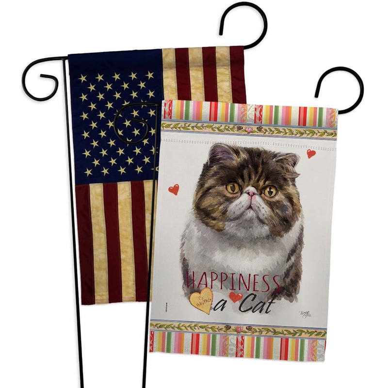 Breeze Decor Exotic Short Hair Happiness Garden Flag Pack Cat Kitten Meow Spoiled Paw Fur Pet Nature Farm Animal Creature Vintage Applique House Banner Small Yard Gift Double-Sided, Made in USA