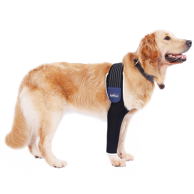 Dog Front Leg Sleeve, XLarge, Comfortable, Breathable Material, Adjustable Elastic Band, for Hot Spots, Wounds, Bandages