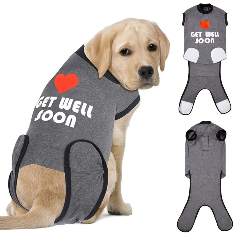 GreenJoy Get-Well-Soon Dog Surgery Recovery Suit – Soft Breathable Dog Onesie Post-Spay/Neuter, Anti-Licking Dog Bodysuit for Small, Medium, Large Dogs (Grey, XL) Grey