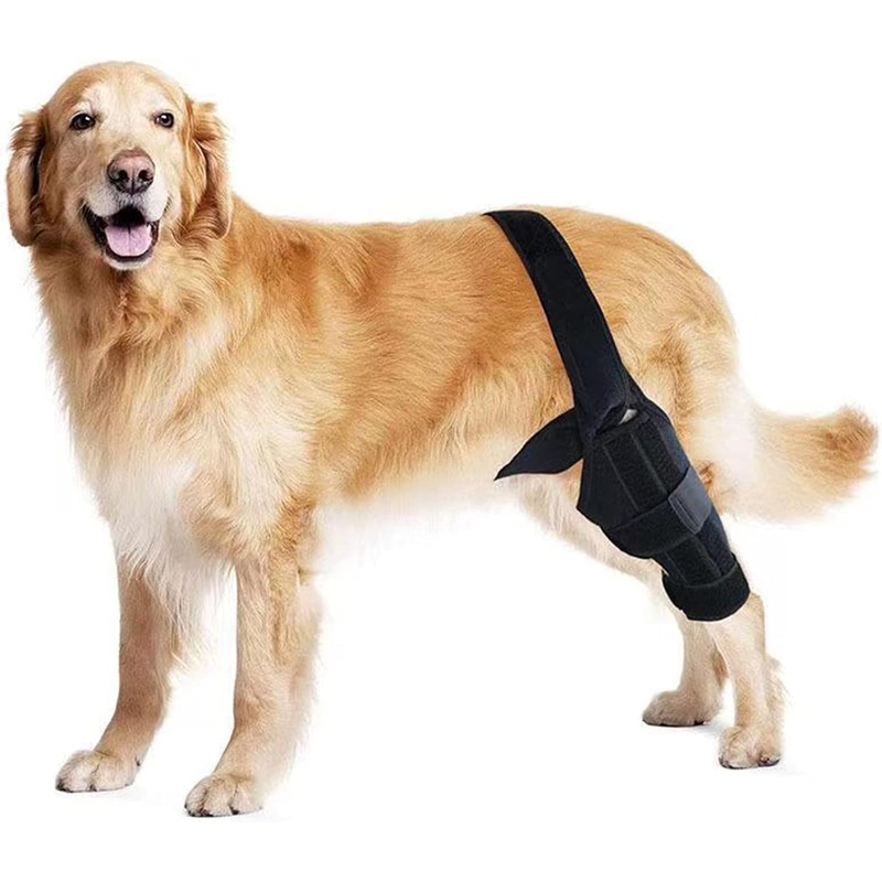 Abnaok Dog Knee Brace, Knee Brace for Dogs ACL, Knee Cap Dislocation, Arthritis, Full Wrap, Easy Adjustable, Extra Support with Reduces Pain and Inflammation