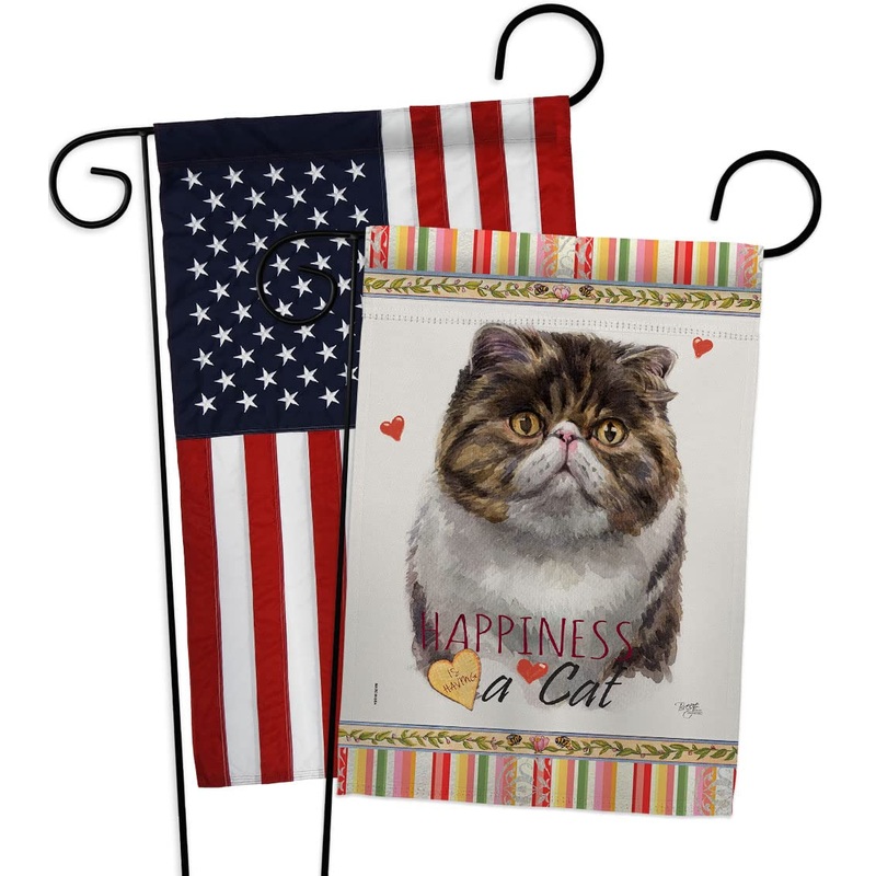 Breeze Decor Exotic Short Hair Happiness Garden Flag Pack Cat Kitten Meow Spoiled Paw Fur Pet Nature Farm Animal Creature Applique House Banner Small Yard Gift Double-Sided, Made in USA