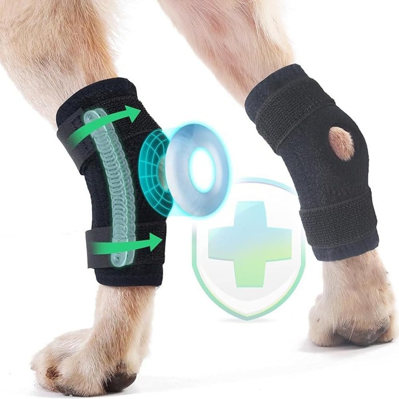 Coodeo Powerful Dog Canine Rear Leg Hock Joint Brace with Metal Spring Strips, Strengthen Support Dog Back Leg Compression Wrap, Help Dogs with Injuries, Sprains, Arthritis, Rheumatism Walk (M, Black) Medium