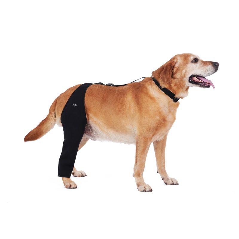 Dog Recovery Sleeve Back Leg Waterproof Diving Material,Dog Leg Sleeve to Stop Licking and Biting Firm and Secure, Adjustable Size, 2.5mm Thick Comfortable Alternative to Cone Collars (Small) Small