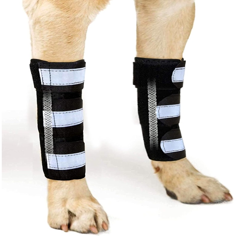 (L/XL) Dog Front Leg Brace, Pair of Dog Leg Brace with Metal Strips, Canine Front Leg Hock Wrap Sleeve for Carpal Support, Protects Wounds Brace Heals and Prevents Injuries and Sprains (L/XL)