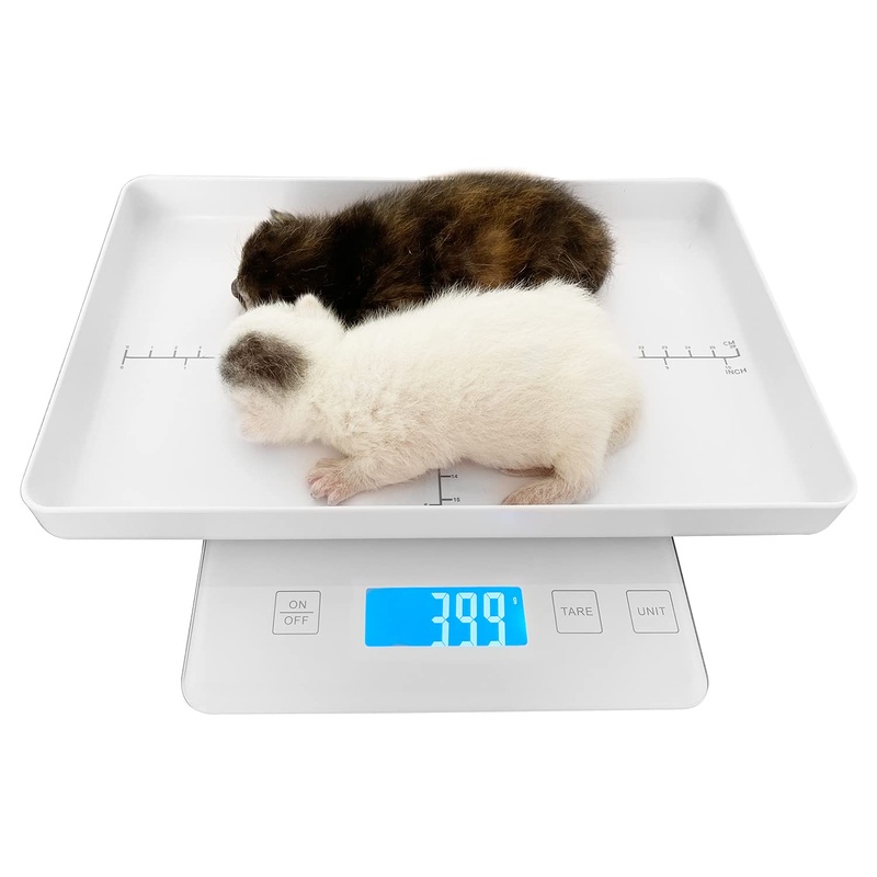 MINDPET-MED Digital Pet Scales for Small Animals Welf Scales Mini Precision Gram Weight Balance High Precision 1g Suitable for Newborn Pets White