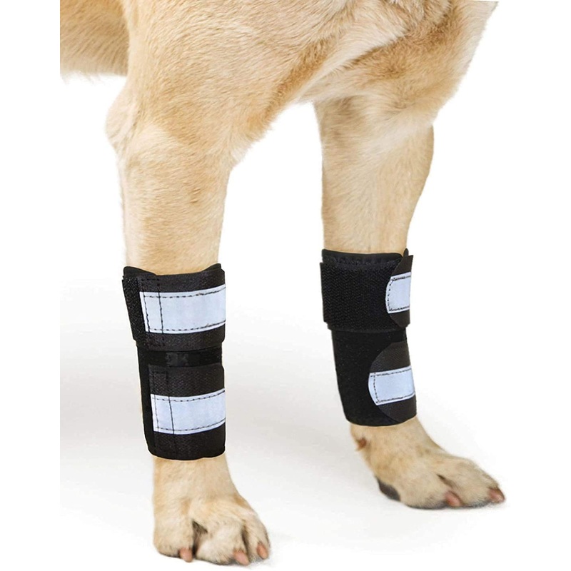 NeoAlly Pair Dog Front Leg Braces Super Supportive with Metal Spring Strips to Stabilize and Support Canine Front Leg Wrist Carpal, Prevent Leg Injuries Sprains Arthritis (Pair) (XXS/XS, Black) XXS/XS