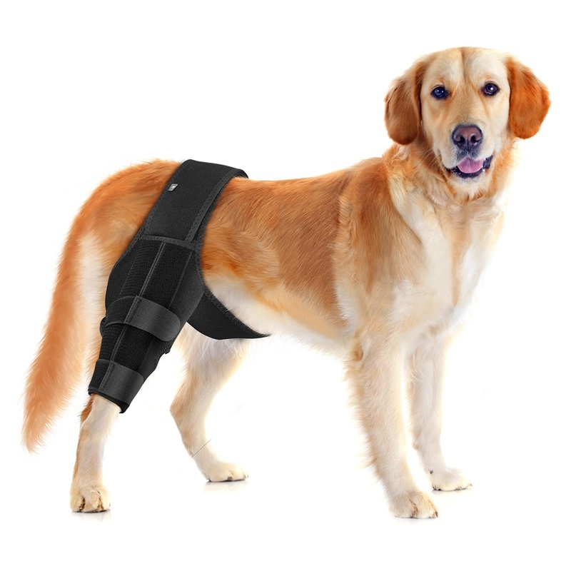 YiLiiod Dog Knee Brace for Support with Cruciate Ligament Injury, Patella Dislocation or Osteoarthritis, Joint Pain and Muscle Sore, Adjustable Rear Leg Braces Dogs, Pet Brace – L Large